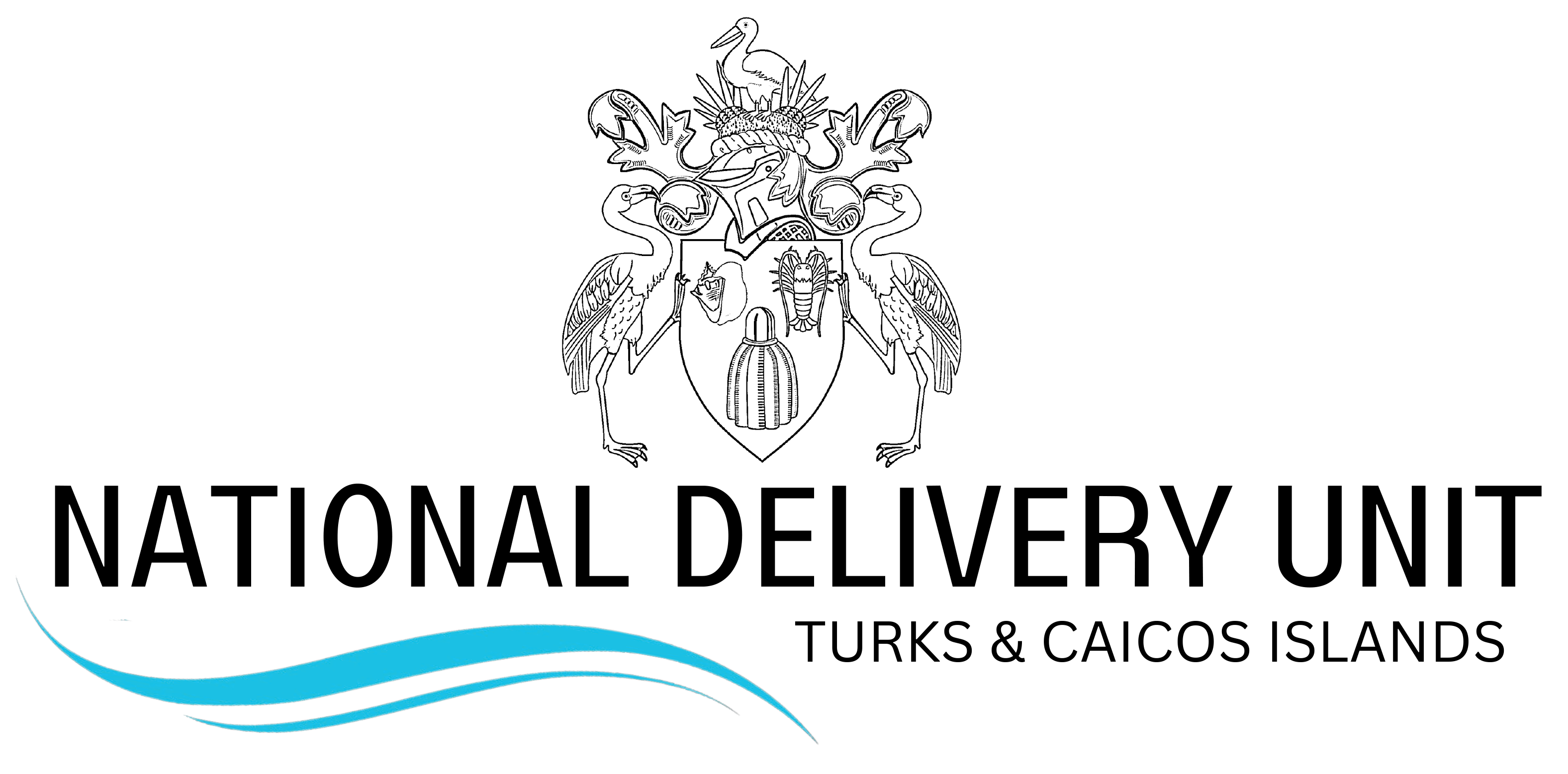 National Delivery Unit - Turks and Caicos Islands